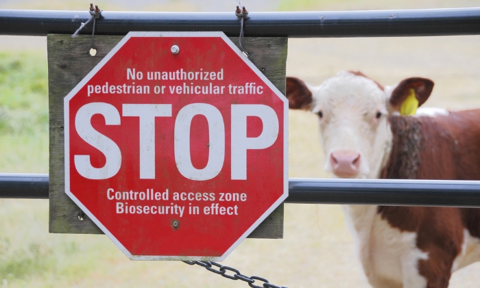 animal biosecurity